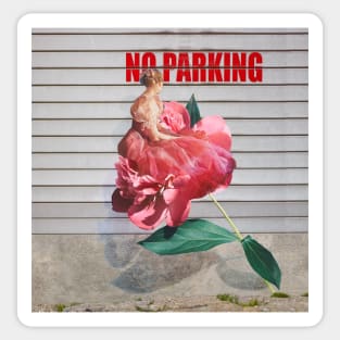 No parking Sticker